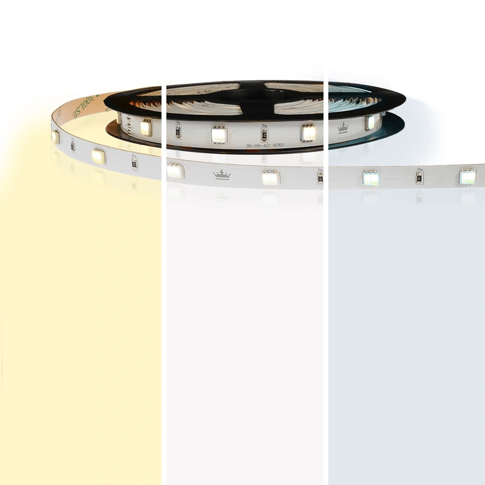 5 meter dual white led strip basic met 300 leds - losse strip