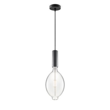 Light depot - hanglamp Saga zwart Oval - helder - Outlet